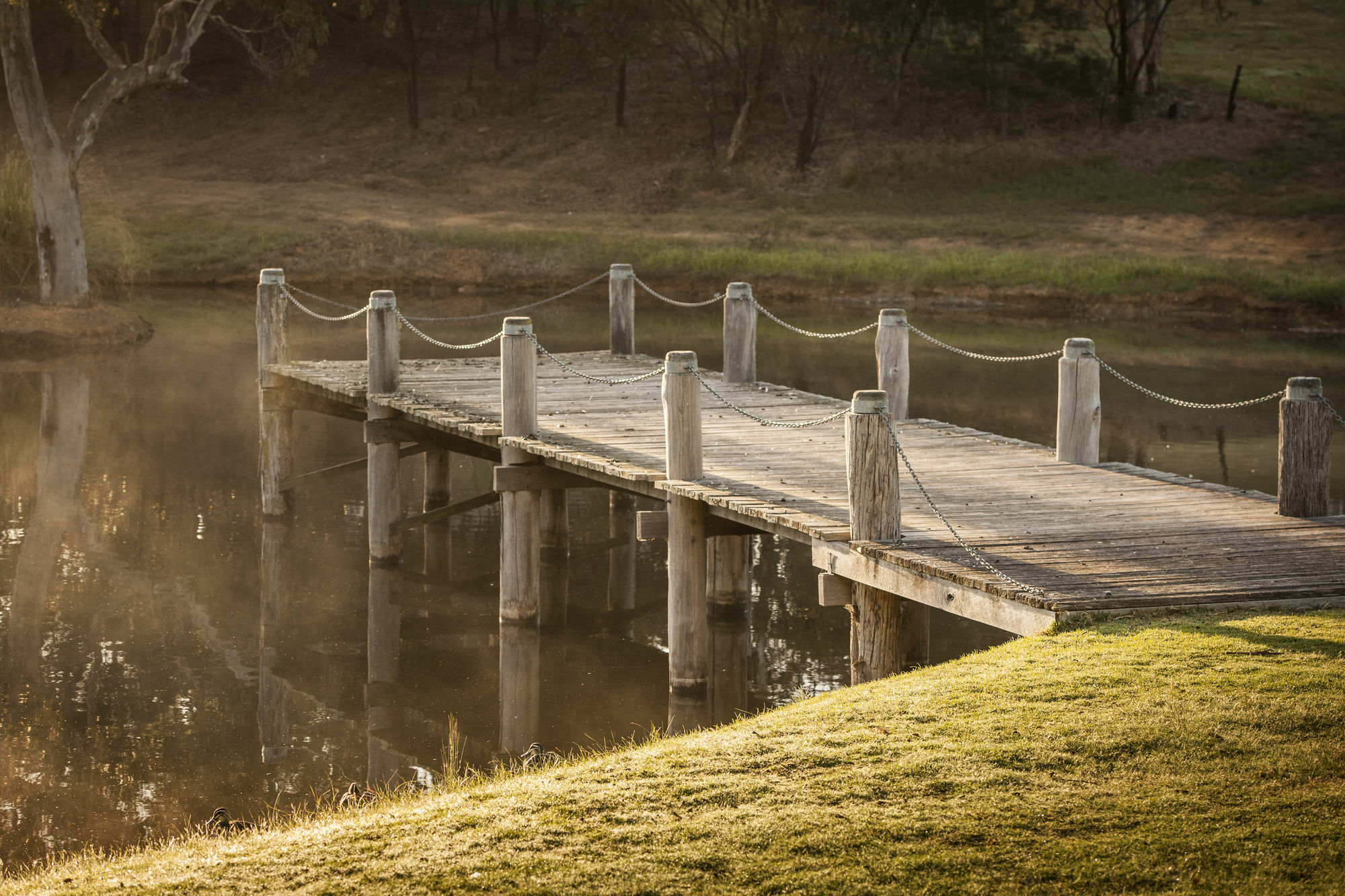 Discovery Parks - Hahndorf Dış mekan fotoğraf