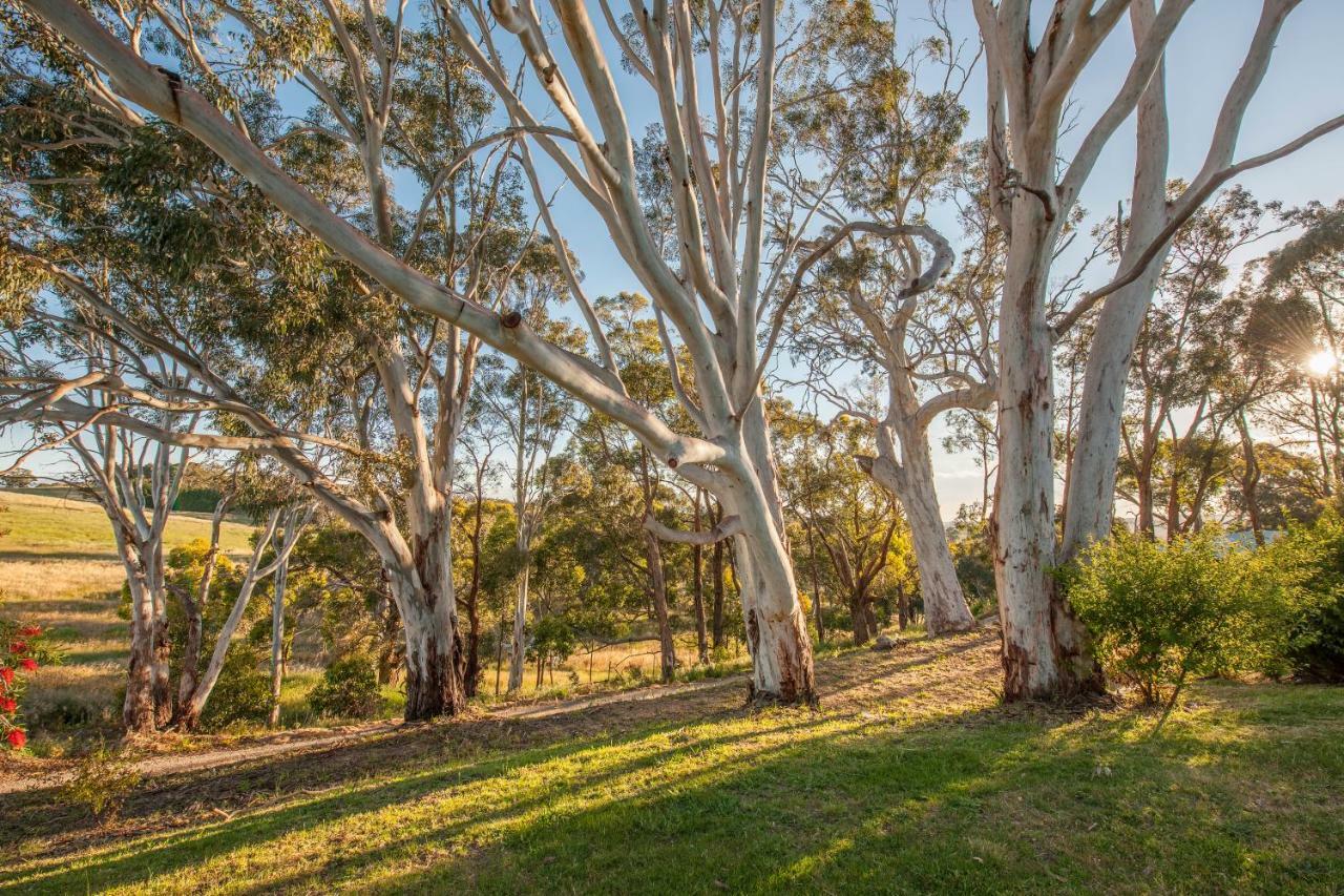 Discovery Parks - Hahndorf Dış mekan fotoğraf